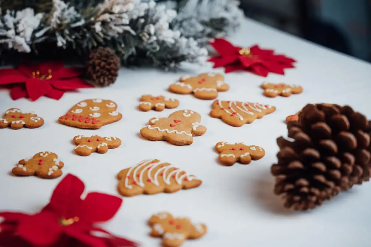 WhatsApp-Marketing zu Weihnachten: Kampagnen-Ideen